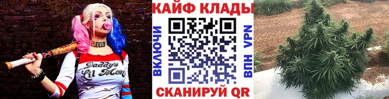 Что такое Заволжье KRAKEN как войти Мефедрон Конопля APVP