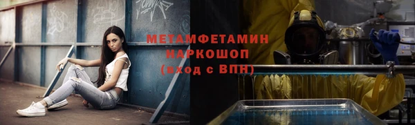 трава Гусиноозёрск