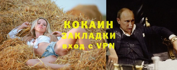 соль ск Алексеевка