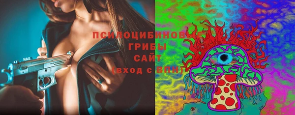 соль ск Алексеевка