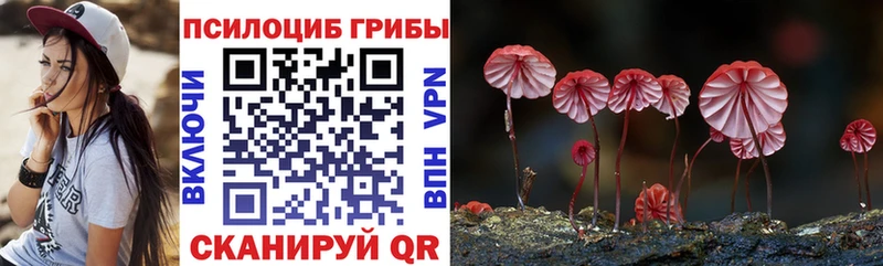 Галлюциногенные грибы Psilocybine cubensis  Заволжье 